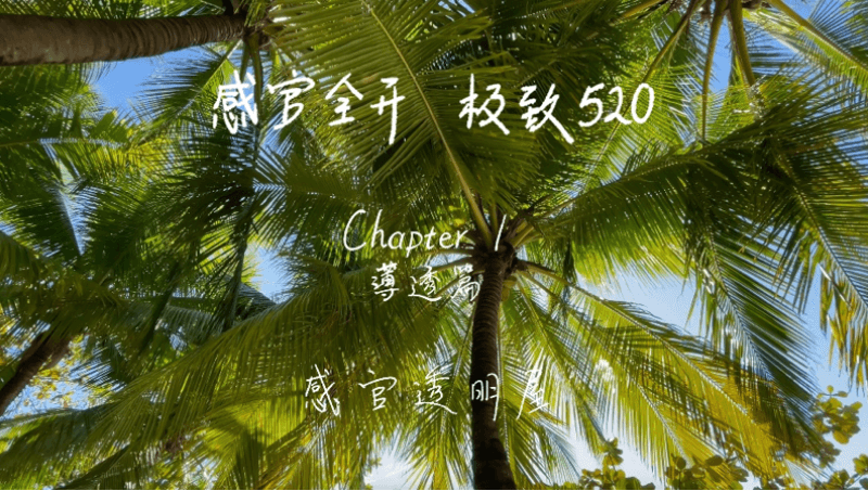 感官全开，极致520