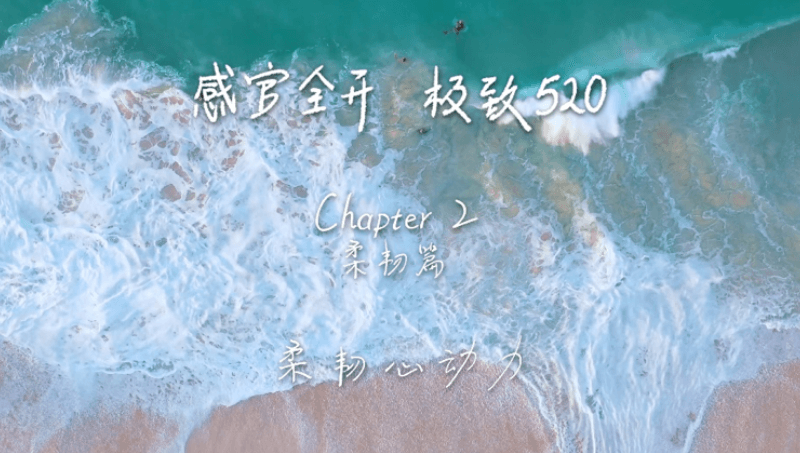 感官全开，极致520