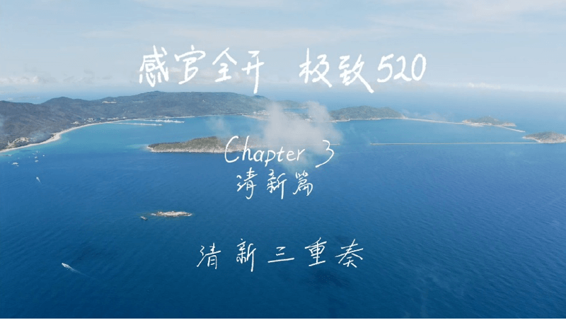 感官全开，极致520